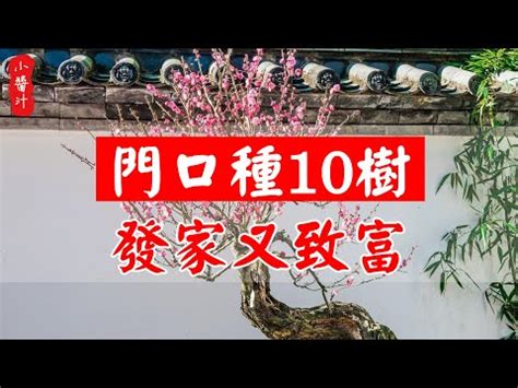 家門口 種扁柏